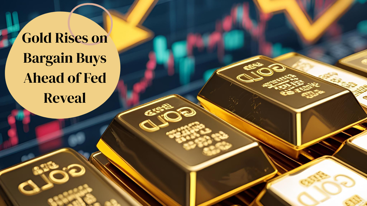 Gold Rises on Bargain Buys Ahead of Fed Reveal
